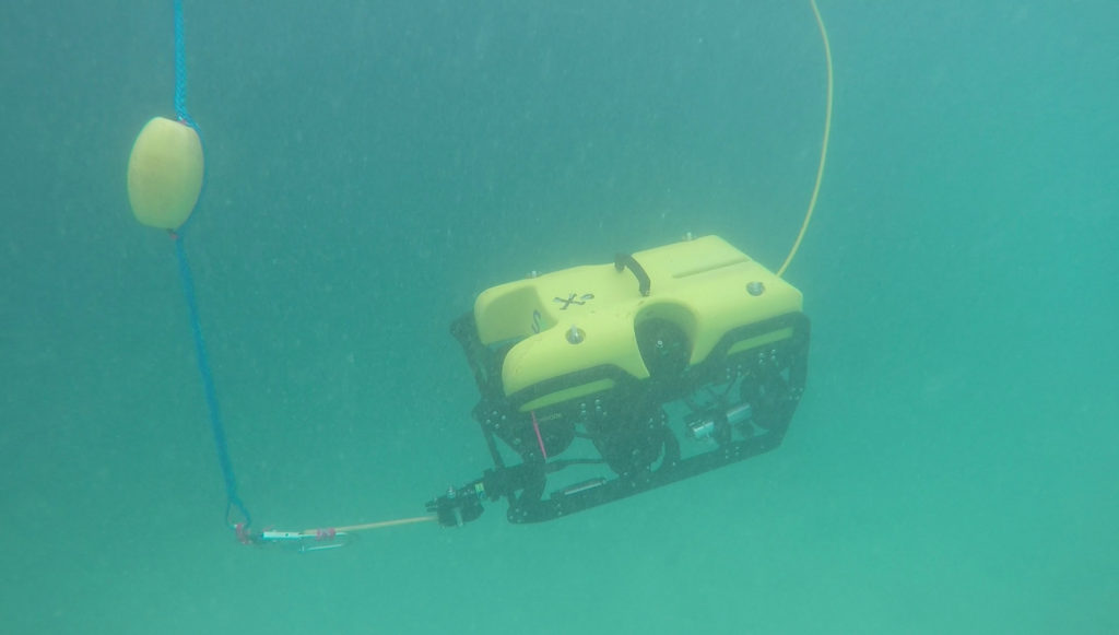 Colors Underwater – ROV Visibility