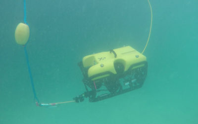 Colors Underwater – ROV Visibility