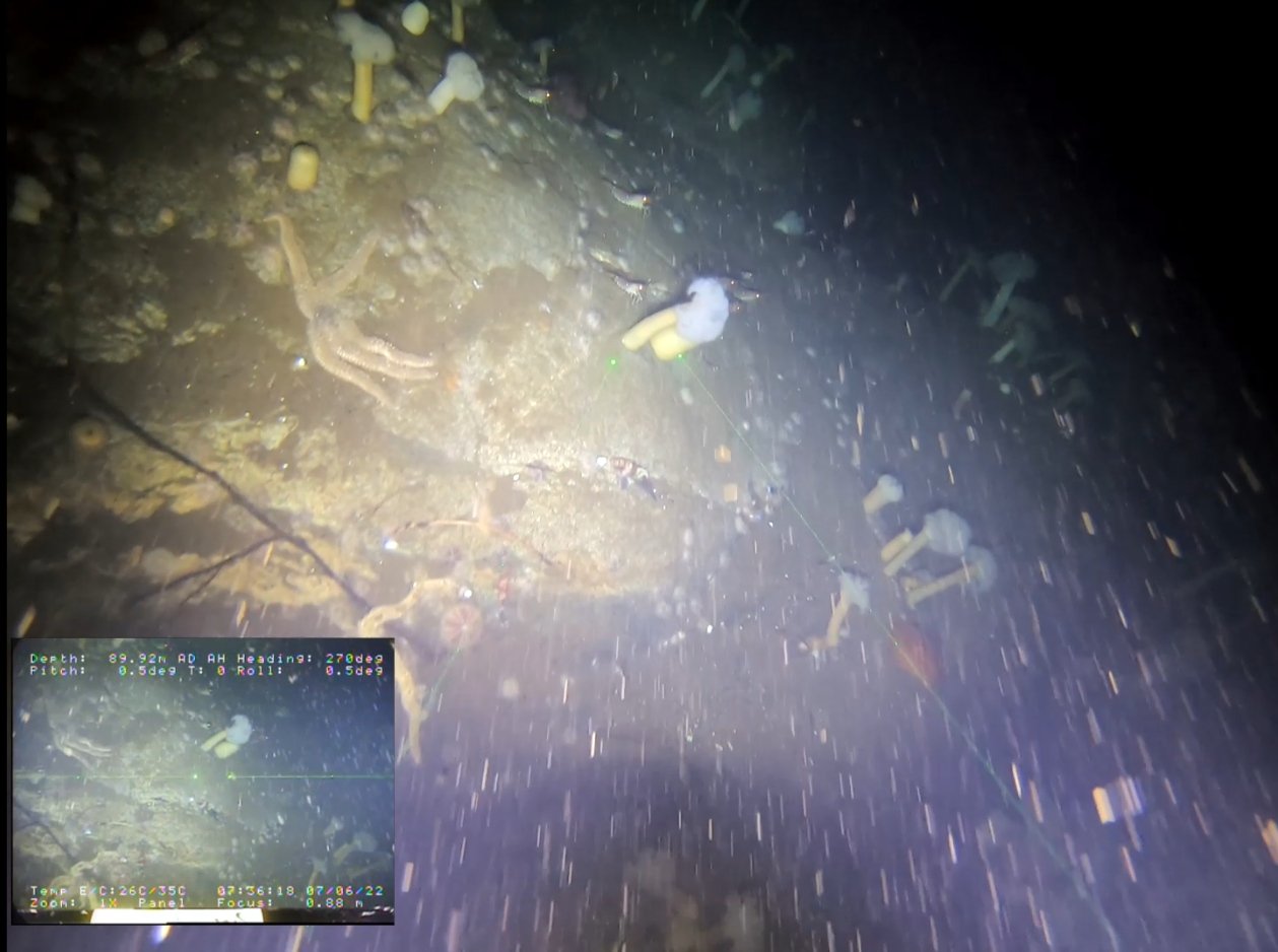 Supporting Environmental Sustainability In Aquaculture Seamor Marine Ltd