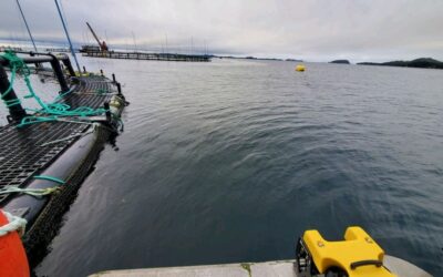 ROVs In Aquaculture: A Brief Introduction