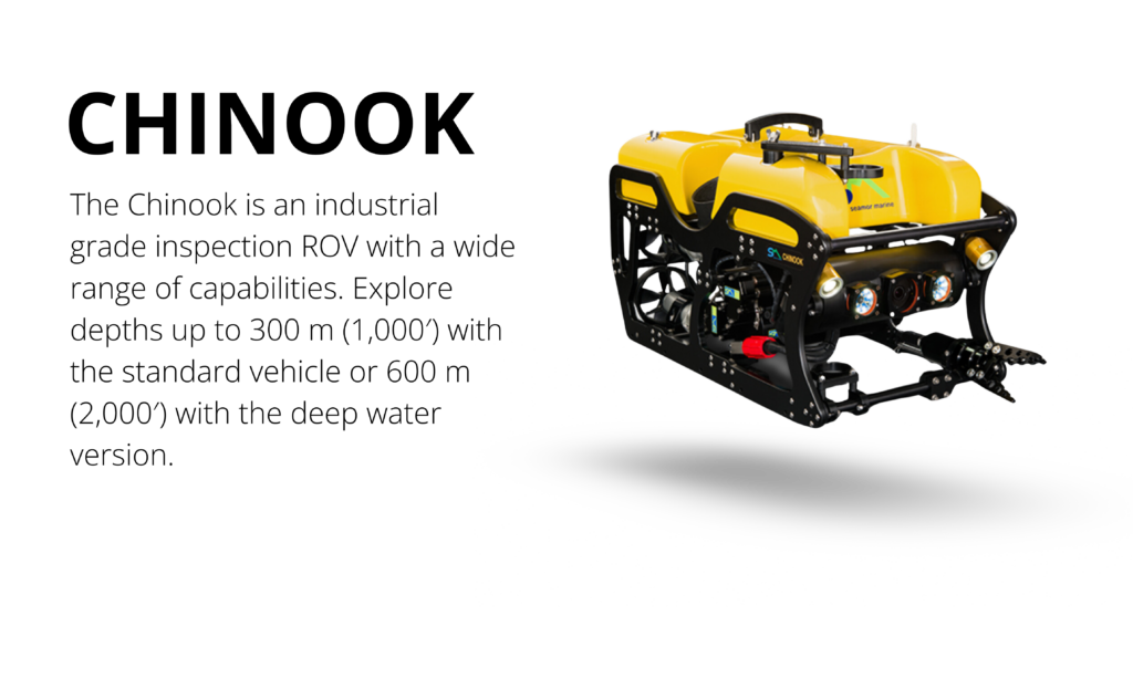 ROVs offer solutions for the integrity of public civil infrastructure