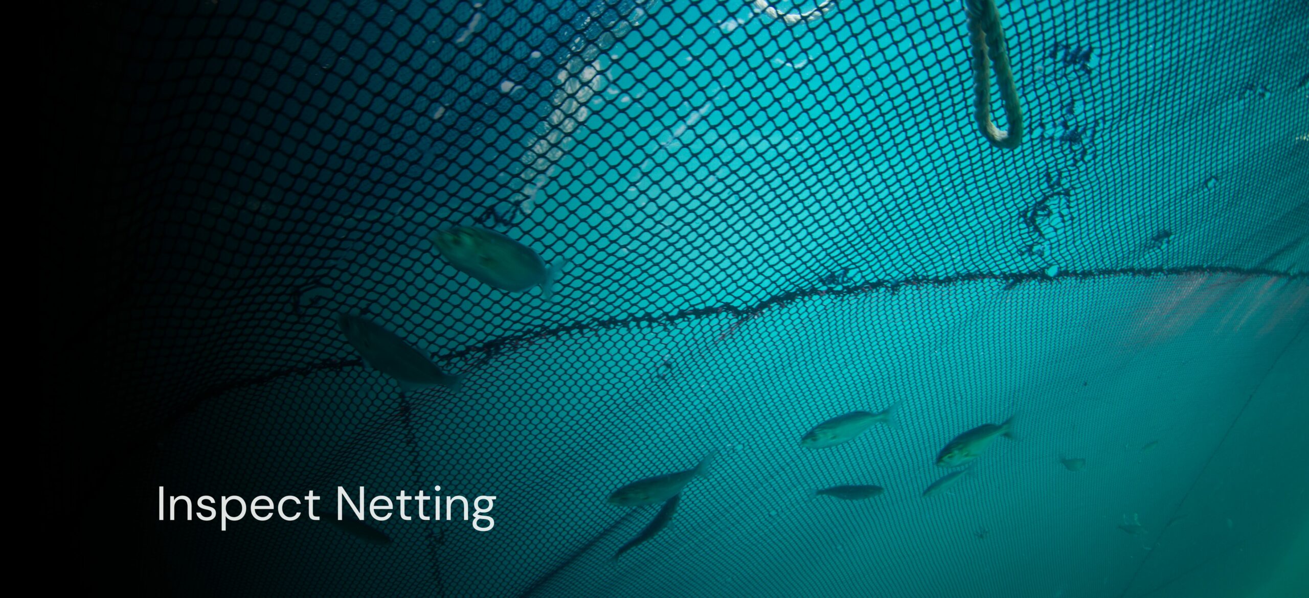 Aquaculture slide 2