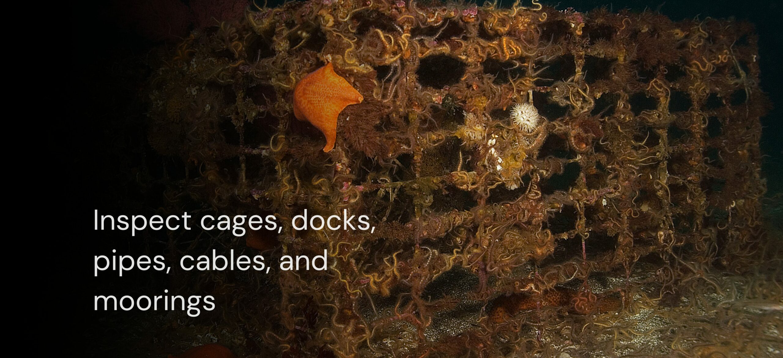 Aquaculture slide 4