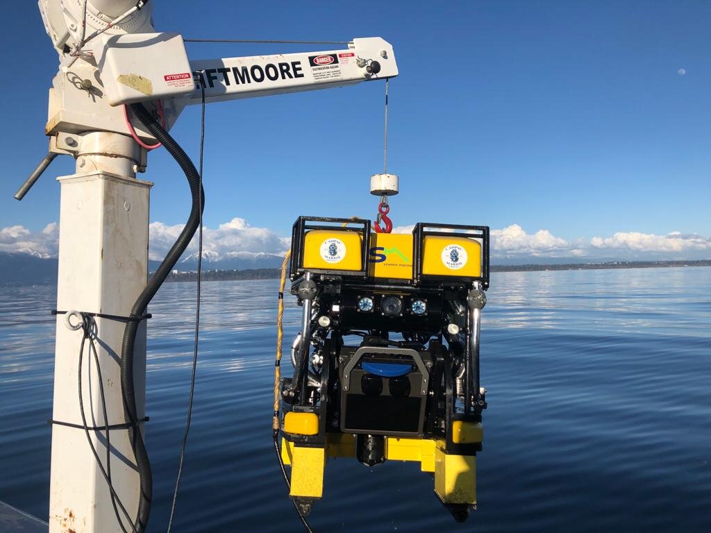 Cable Survey in Skookumchuck Narrows